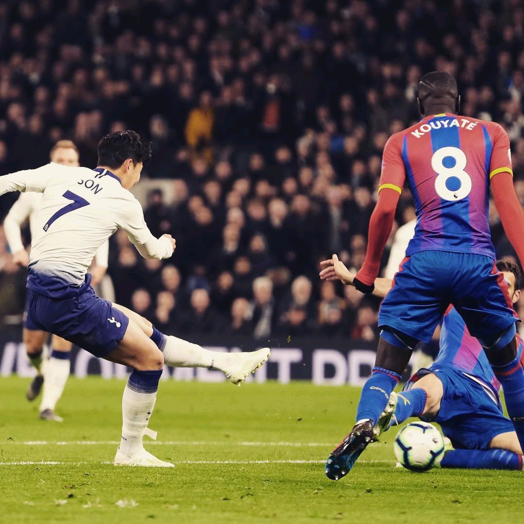 持续强势的 持续强势的